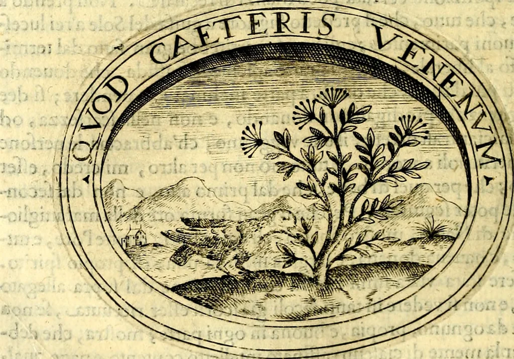 An illustration from Dell'imprese, 1594, leaf 429