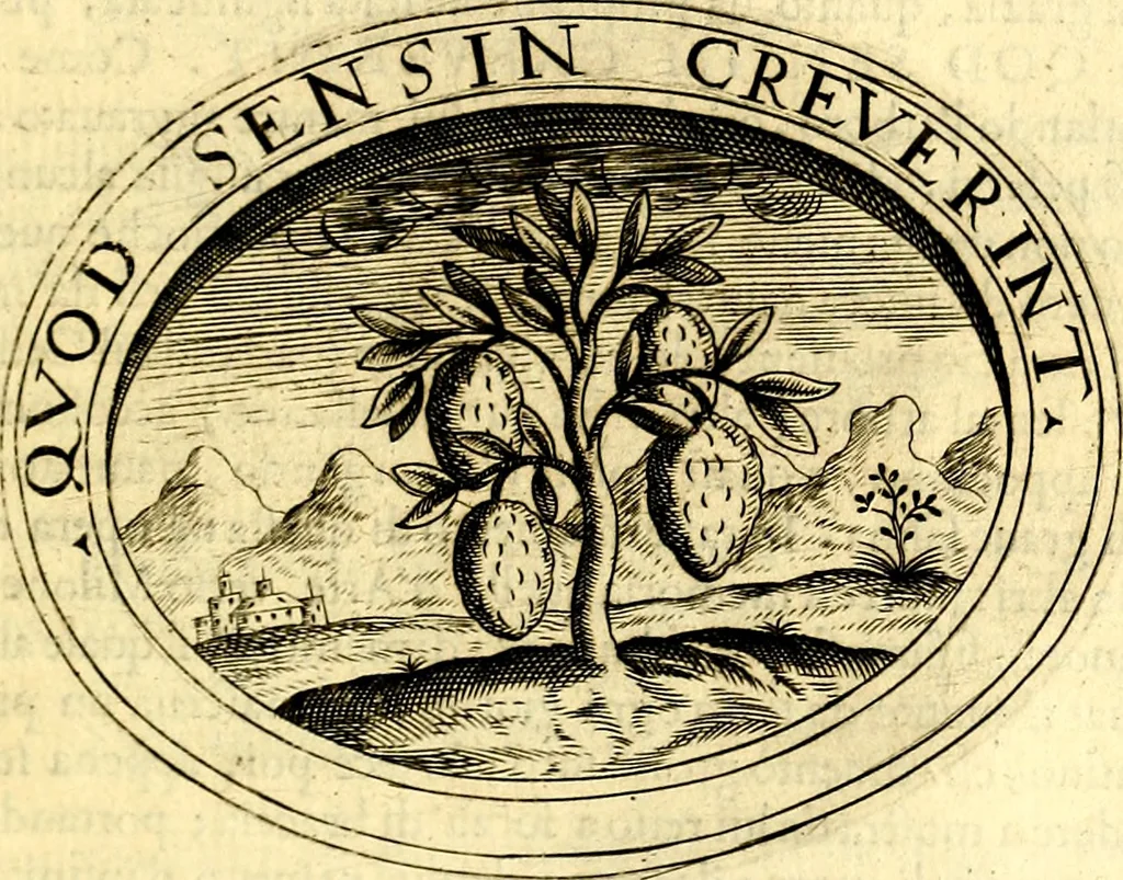 An illustration from Dell'imprese, 1594, leaf 432