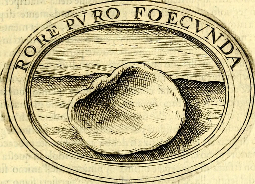 An illustration from Dell'imprese, 1594, leaf 454