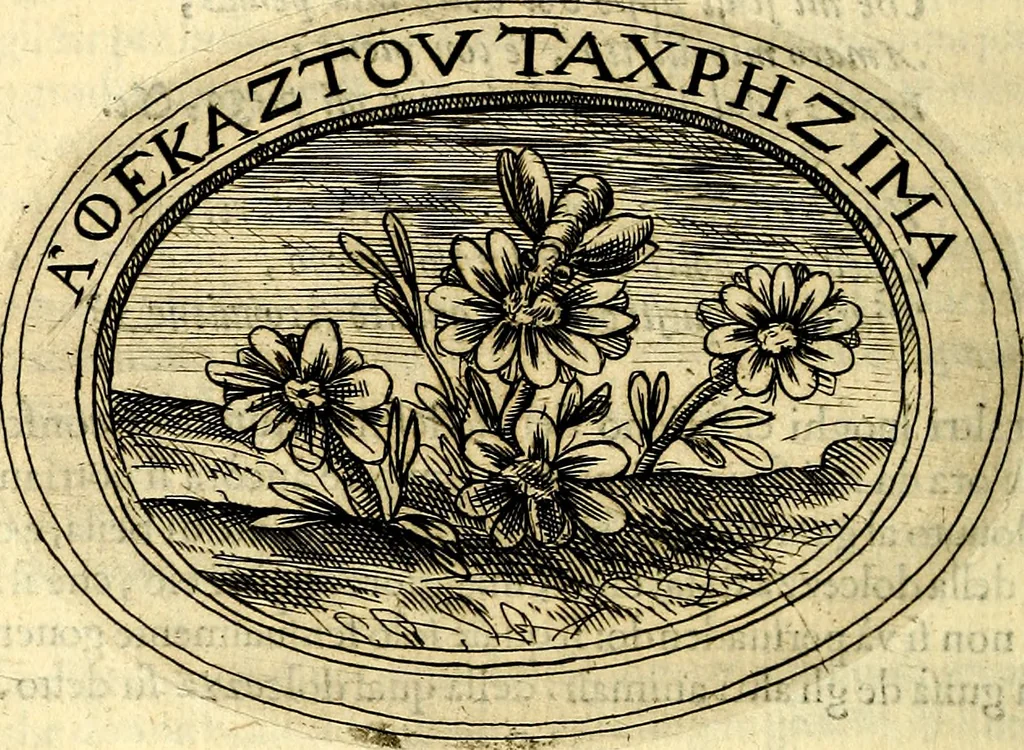 An illustration from Dell'imprese, 1594, leaf 483