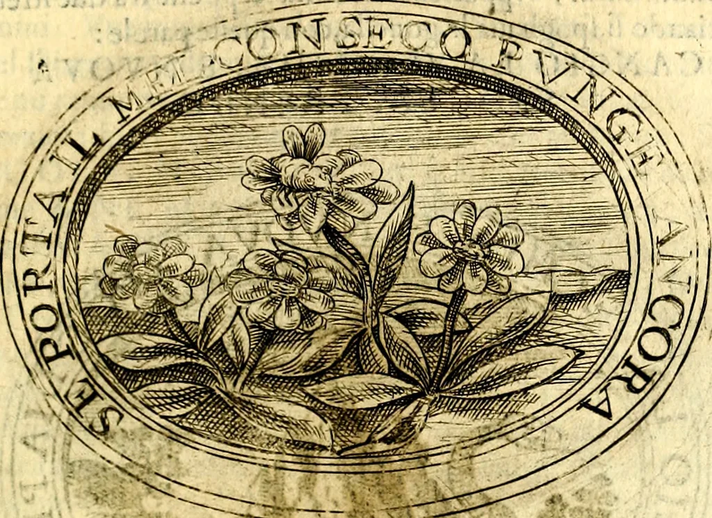An illustration from Dell'imprese, 1594, leaf 510