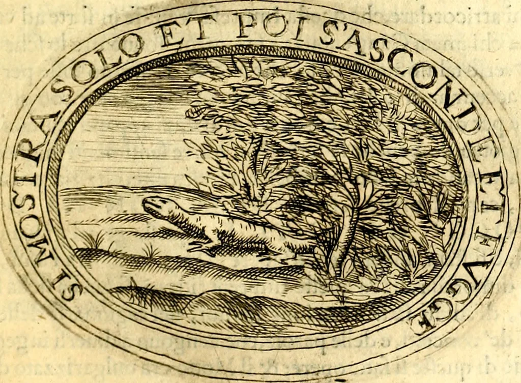 An illustration from Dell'imprese, 1594, leaf 510