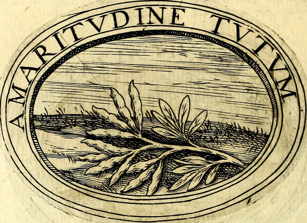 An illustration from Dell'imprese, 1594, leaf 515