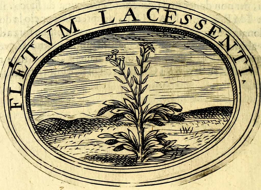 An illustration from Dell'imprese, 1594, leaf 515