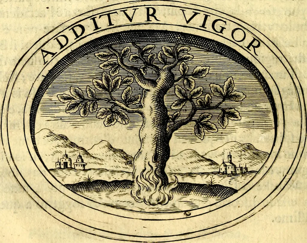 An illustration from Dell'imprese, 1594, leaf 549