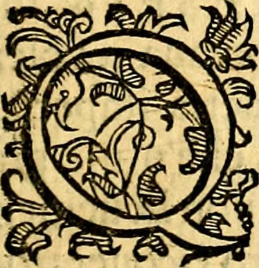 An illustration from Dell'imprese, 1594, leaf 6