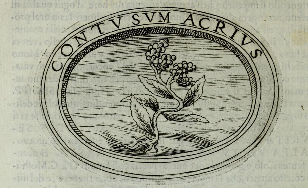 An illustration from Dell'imprese di Scipion Bargagli, gentil'hvomo sanese. Alla prima parte, la seconda e la terza nuovamente aggiunte, dove doppo tutte l'opere cosi scritte a penna, come stampate, ch'egli potuto ha leggendo vedere di coloro, che della materia dell'imprese hanno parlato; della vera natura di quelle si ragiona, 1594, leaf 296