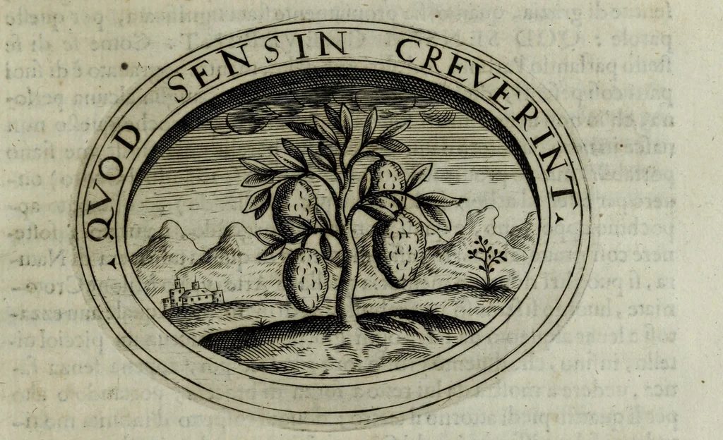An illustration from Dell'imprese di Scipion Bargagli, gentil'hvomo sanese. Alla prima parte, la seconda e la terza nuovamente aggiunte, dove doppo tutte l'opere cosi scritte a penna, come stampate, ch'egli potuto ha leggendo vedere di coloro, che della materia dell'imprese hanno parlato; della vera natura di quelle si ragiona, 1594, leaf 433