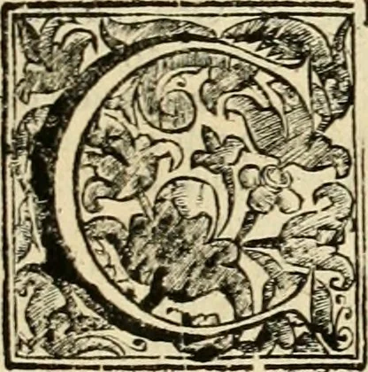An illustration from Dell' imprese pastorali, 1685, leaf 1052