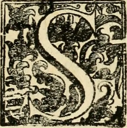 An illustration from Dell' imprese pastorali, 1685, leaf 1074