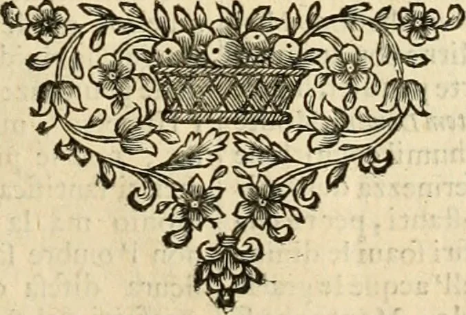 An illustration from Dell' imprese pastorali, 1685, leaf 136