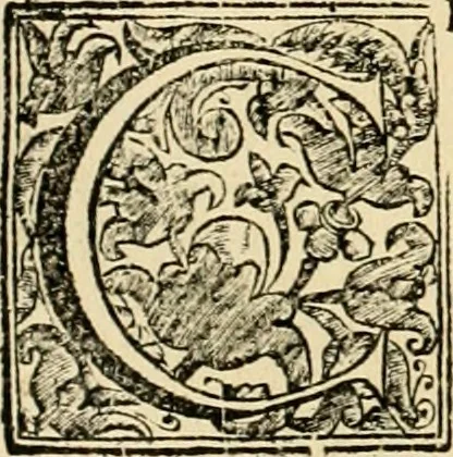 An illustration from Dell' imprese pastorali, 1685, leaf 225