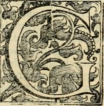 An illustration from Dell' imprese pastorali, 1685, leaf 304