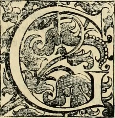 An illustration from Dell' imprese pastorali, 1685, leaf 416