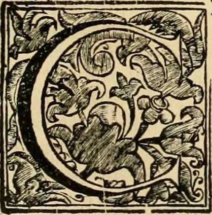 An illustration from Dell' imprese pastorali, 1685, leaf 594