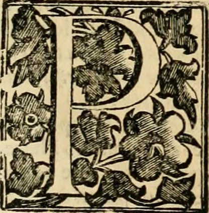 An illustration from Dell' imprese pastorali, 1685, leaf 628