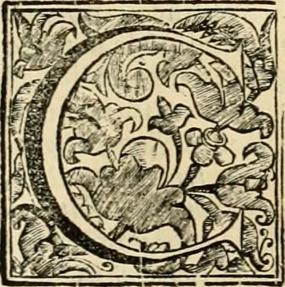 An illustration from Dell' imprese pastorali, 1685, leaf 640