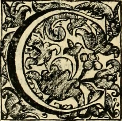 An illustration from Dell' imprese pastorali, 1685, leaf 883
