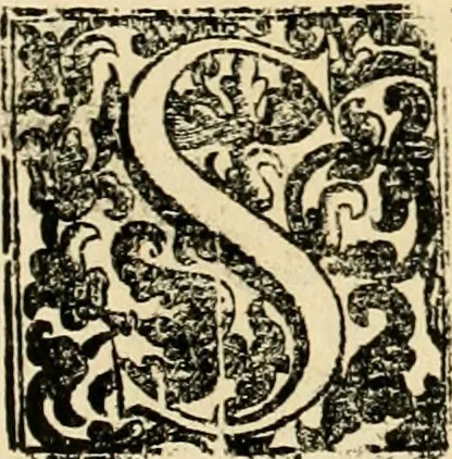 An illustration from Dell' imprese pastorali, 1685, leaf 907