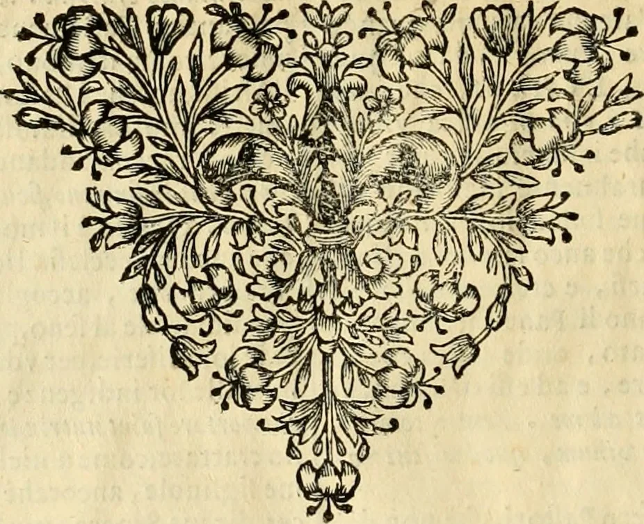 An illustration from Dell' imprese pastorali, 1685, leaf 971