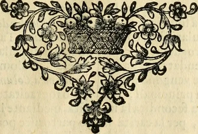 An illustration from Dell' imprese pastorali, 1685, leaf 982