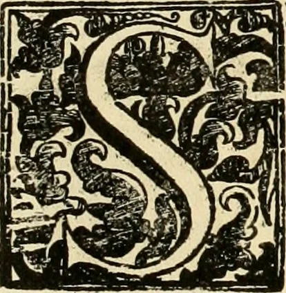 An illustration from Dell' imprese pastorali, 1685, leaf 983