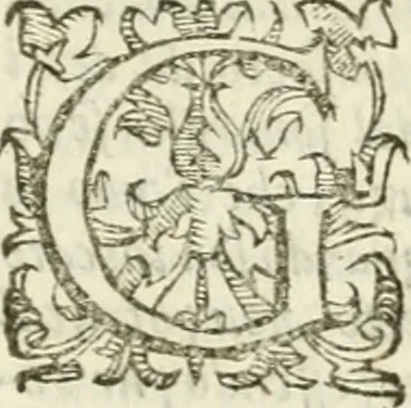 An illustration from Dell'imprese scelte : doue trovansi tvtte qvelle, che da diverse avtore stampate, si rendon conformi alle regole & alle principali qualità, stimae da' buon giudizi, le migliori infin qvi d'intorno à questo nobilissimo soggestto, 1600, leaf 126