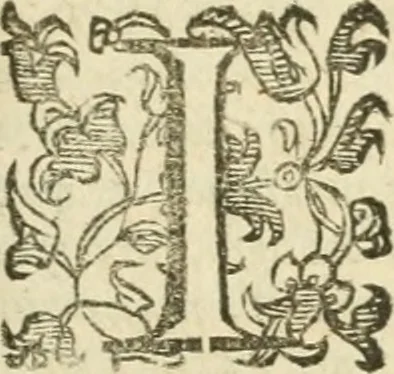 An illustration from Dell'imprese scelte : doue trovansi tvtte qvelle, che da diverse avtore stampate, si rendon conformi alle regole & alle principali qualità, stimae da' buon giudizi, le migliori infin qvi d'intorno à questo nobilissimo soggestto, 1600, leaf 32
