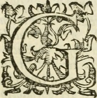 An illustration from Dell'imprese scelte : doue trovansi tvtte qvelle, che da diverse avtore stampate, si rendon conformi alle regole & alle principali qualità, stimae da' buon giudizi, le migliori infin qvi d'intorno à questo nobilissimo soggestto, 1600, leaf 36