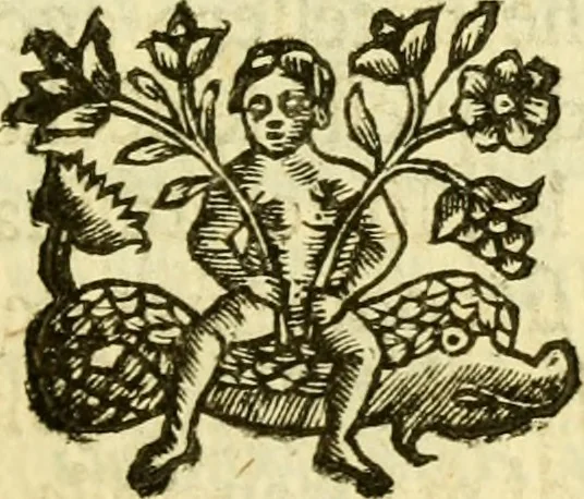 An illustration from Dell 'istoria di Ferrara scritta dal dottore D. Girolamo Baruffaldi Ferrarese libri nove : ne' quali diffusamente si narrano le cose avvenute in essa dall'anno MDCLV fino al MDCC con gli argomenti à ciascun libro, e due tavole, de'nomi proprj, e delle materie, 1700, leaf 202