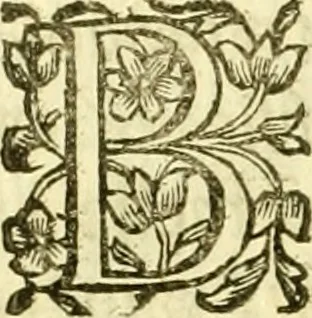 An illustration from Dell 'istoria di Ferrara scritta dal dottore D. Girolamo Baruffaldi Ferrarese libri nove : ne' quali diffusamente si narrano le cose avvenute in essa dall'anno MDCLV fino al MDCC con gli argomenti à ciascun libro, e due tavole, de'nomi proprj, e delle materie, 1700, leaf 203