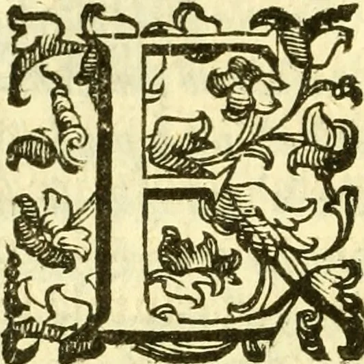 An illustration from Dell 'istoria di Ferrara scritta dal dottore D. Girolamo Baruffaldi Ferrarese libri nove : ne' quali diffusamente si narrano le cose avvenute in essa dall'anno MDCLV fino al MDCC con gli argomenti à ciascun libro, e due tavole, de'nomi proprj, e delle materie, 1700, leaf 205
