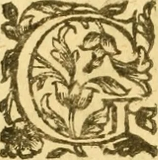 An illustration from Dell 'istoria di Ferrara scritta dal dottore D. Girolamo Baruffaldi Ferrarese libri nove : ne' quali diffusamente si narrano le cose avvenute in essa dall'anno MDCLV fino al MDCC con gli argomenti à ciascun libro, e due tavole, de'nomi proprj, e delle materie, 1700, leaf 253