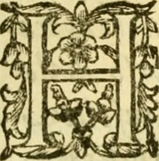 An illustration from Dell 'istoria di Ferrara scritta dal dottore D. Girolamo Baruffaldi Ferrarese libri nove : ne' quali diffusamente si narrano le cose avvenute in essa dall'anno MDCLV fino al MDCC con gli argomenti à ciascun libro, e due tavole, de'nomi proprj, e delle materie, 1700, leaf 316