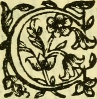 An illustration from Dell 'istoria di Ferrara scritta dal dottore D. Girolamo Baruffaldi Ferrarese libri nove : ne' quali diffusamente si narrano le cose avvenute in essa dall'anno MDCLV fino al MDCC con gli argomenti à ciascun libro, e due tavole, de'nomi proprj, e delle materie, 1700, leaf 32
