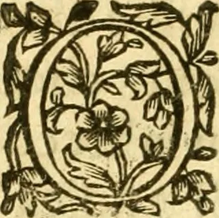 An illustration from Dell 'istoria di Ferrara scritta dal dottore D. Girolamo Baruffaldi Ferrarese libri nove : ne' quali diffusamente si narrano le cose avvenute in essa dall'anno MDCLV fino al MDCC con gli argomenti à ciascun libro, e due tavole, de'nomi proprj, e delle materie, 1700, leaf 367