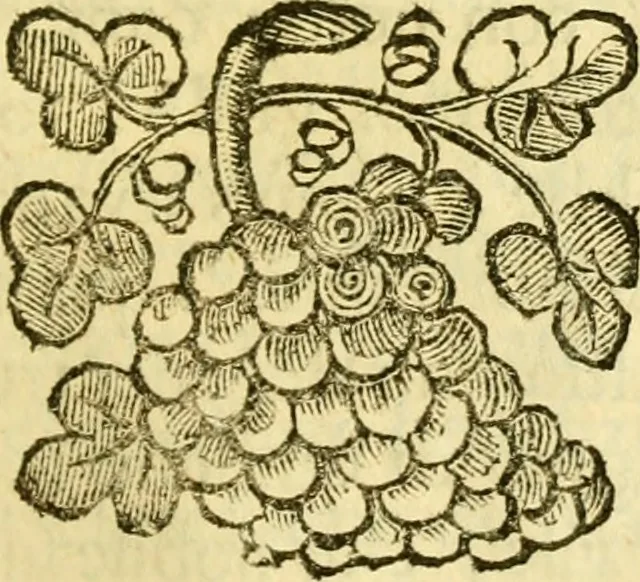 An illustration from Dell 'istoria di Ferrara scritta dal dottore D. Girolamo Baruffaldi Ferrarese libri nove : ne' quali diffusamente si narrano le cose avvenute in essa dall'anno MDCLV fino al MDCC con gli argomenti à ciascun libro, e due tavole, de'nomi proprj, e delle materie, 1700, leaf 368
