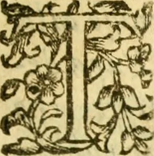 An illustration from Dell 'istoria di Ferrara scritta dal dottore D. Girolamo Baruffaldi Ferrarese libri nove : ne' quali diffusamente si narrano le cose avvenute in essa dall'anno MDCLV fino al MDCC con gli argomenti à ciascun libro, e due tavole, de'nomi proprj, e delle materie, 1700, leaf 416