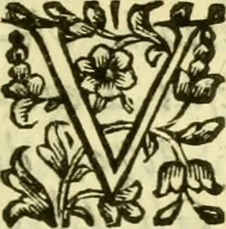 An illustration from Dell 'istoria di Ferrara scritta dal dottore D. Girolamo Baruffaldi Ferrarese libri nove : ne' quali diffusamente si narrano le cose avvenute in essa dall'anno MDCLV fino al MDCC con gli argomenti à ciascun libro, e due tavole, de'nomi proprj, e delle materie, 1700, leaf 474