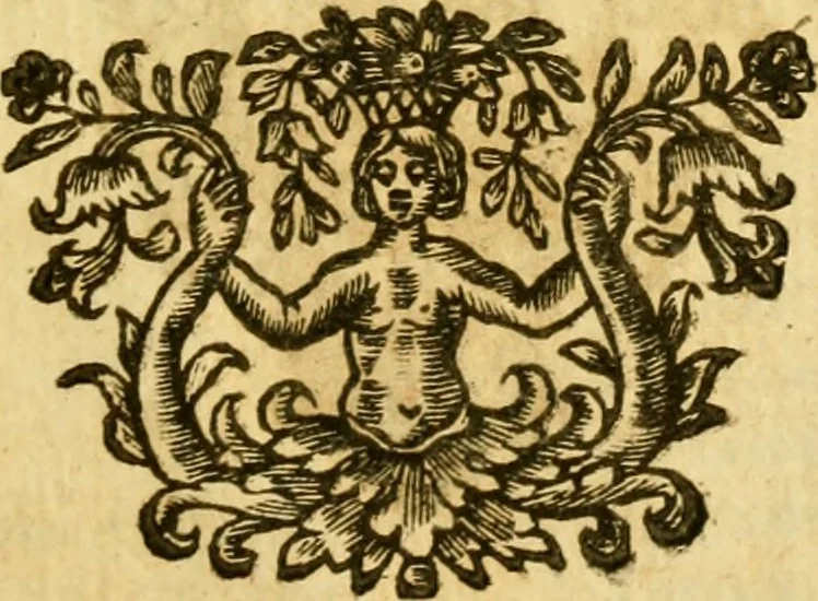 An illustration from Dell 'istoria di Ferrara scritta dal dottore D. Girolamo Baruffaldi Ferrarese libri nove : ne' quali diffusamente si narrano le cose avvenute in essa dall'anno MDCLV fino al MDCC con gli argomenti à ciascun libro, e due tavole, de'nomi proprj, e delle materie, 1700, leaf 558