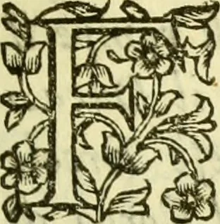 An illustration from Dell 'istoria di Ferrara scritta dal dottore D. Girolamo Baruffaldi Ferrarese libri nove : ne' quali diffusamente si narrano le cose avvenute in essa dall'anno MDCLV fino al MDCC con gli argomenti à ciascun libro, e due tavole, de'nomi proprj, e delle materie, 1700, leaf 86