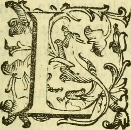 An illustration from Dell 'istoria di Ferrara scritta dal dottore D. Girolamo Baruffaldi Ferrarese libri nove : ne' quali diffusamente si narrano le cose avvenute in essa dall'anno MDCLV fino al MDCC con gli argomenti à ciascun libro, e due tavole, de'nomi proprj, e delle materie, 1700, leaf 88