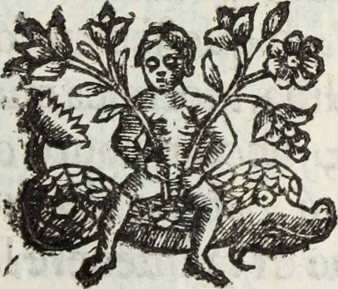 An illustration from Dell'istoria di Ferrara, 1700, leaf 204
