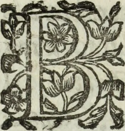 An illustration from Dell'istoria di Ferrara, 1700, leaf 205