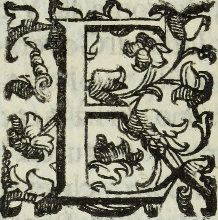 An illustration from Dell'istoria di Ferrara, 1700, leaf 207