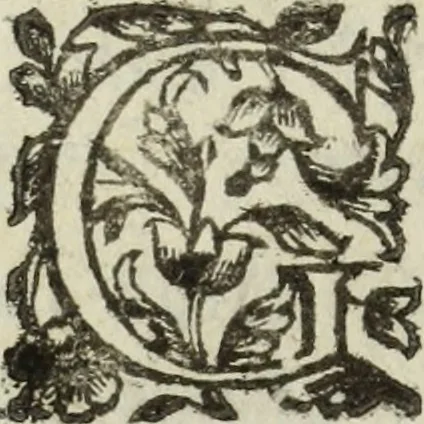 An illustration from Dell'istoria di Ferrara, 1700, leaf 255