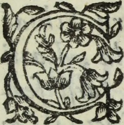 An illustration from Dell'istoria di Ferrara, 1700, leaf 34