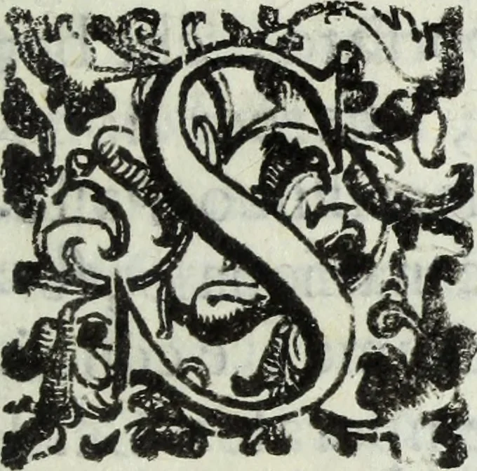 An illustration from Dell'istoria di Ferrara, 1700, leaf 36
