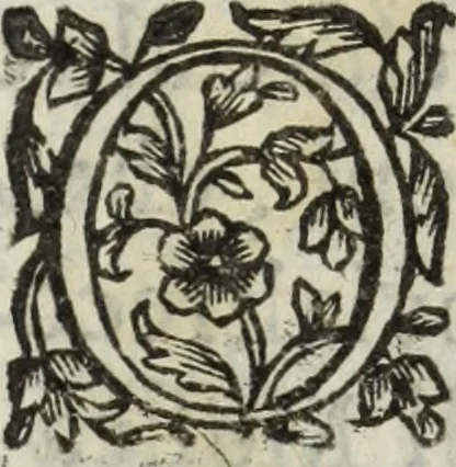 An illustration from Dell'istoria di Ferrara, 1700, leaf 369