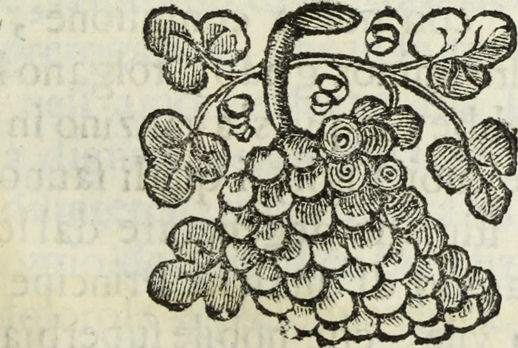 An illustration from Dell'istoria di Ferrara, 1700, leaf 370